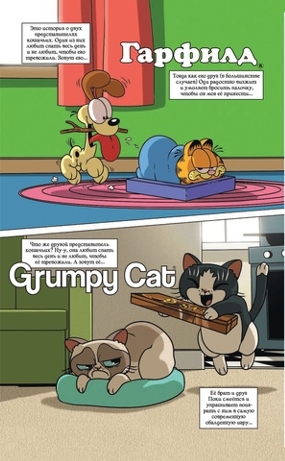 Гарфилд и Grumpy Cat. Сердитый кроссовер