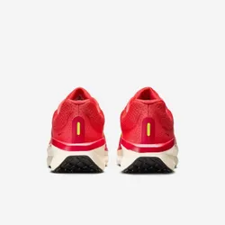 Кроссовки мужские NIKE NIKE AIR WINFLO 11