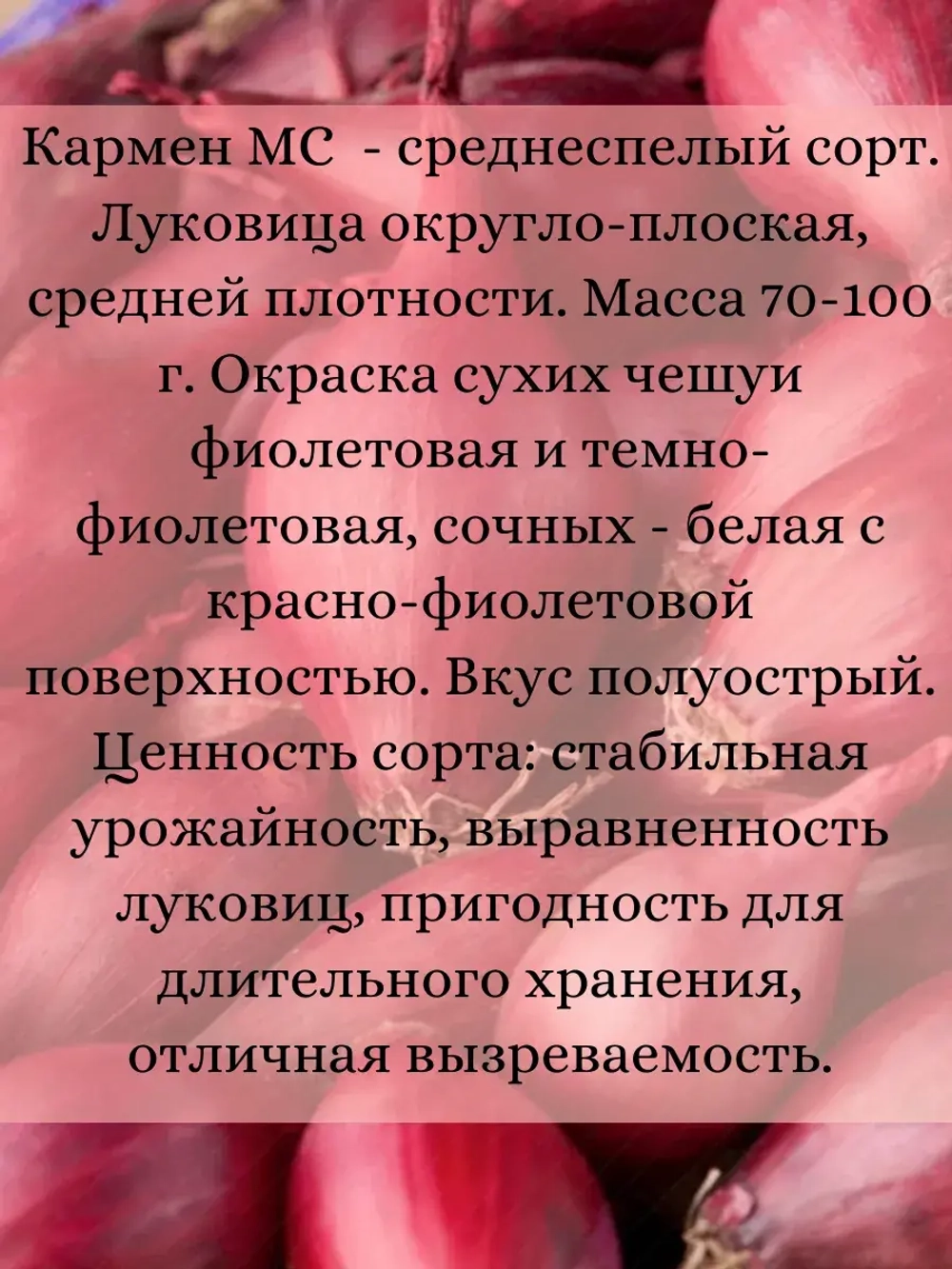 Семена Лук набор 3 шт