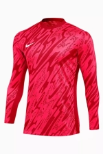 Вратарская кофта Nike Dri-FIT Gardien V GK