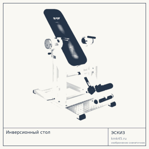 Инверсионный стол — от 326 000 ₽