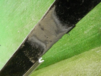 DSCN0044.jpg