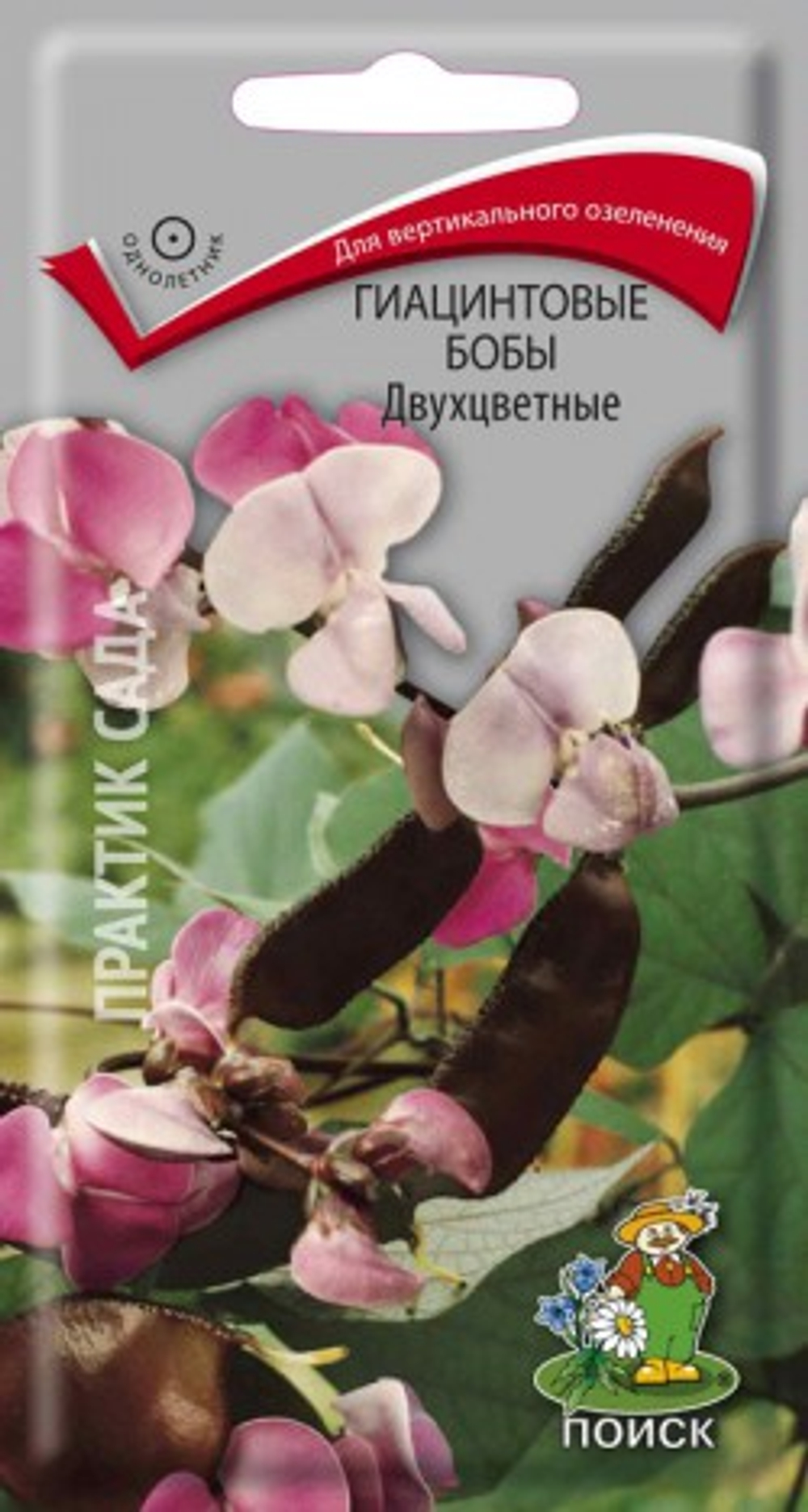 Гиацинтовые бобы Двухцветные 1гр /Поиск