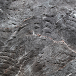 Devine Stone