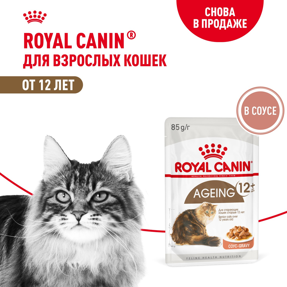 Royal Canin Ageing 12+ Эйджинг Корм влажный для взрослых кошек в возрасте старше 12 лет соус 85г