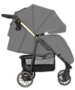 Коляска прогулочная Carrello Echo CRL-8508/2, Rhino Gray (Светло-серый)