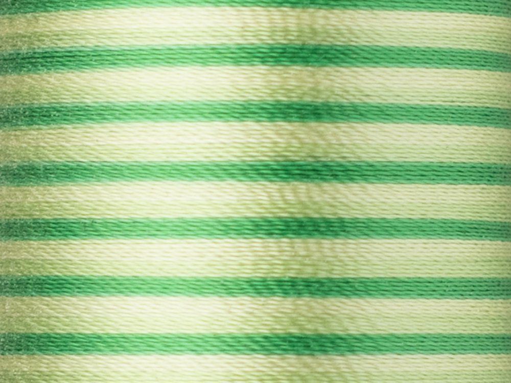 Нитки вышивальные вискоза Madeira Rayon №40, 200 м, цв. 2031, 9840, 5 катушек