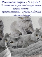 Простыня 200х220 см без резинки