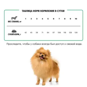 Сухой корм Karmy Mini Adult для взрослых собак мелких пород, с индейкой