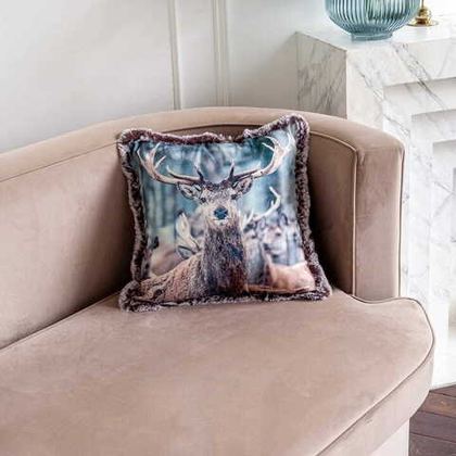 Наволочка декоративная  45x45 Arya home Doe