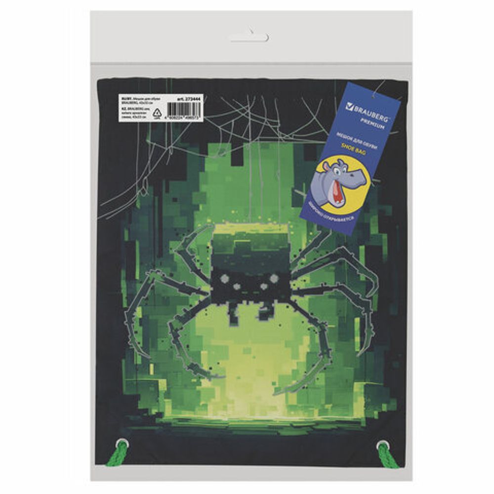 Мешок для обуви BRAUBERG PREMIUM, карман, подкладка, светоотражайка, 43х33 см, "Digital spider", 273444