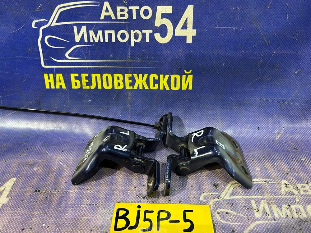 Петля двери задней левой MAZDA FAMILIA 1999