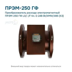 Преобразователь расхода электромагнитный ПРЭМ-250 ГФ L0/-/F Кл. D 24В Bt/ИМИ/485 (К3)