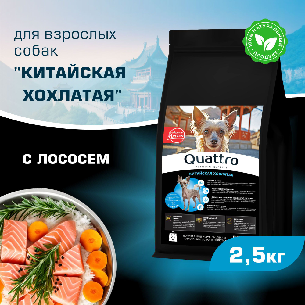 Корм сухой для взрослых собак породы Китайская хохлатая, с лососем, 2,5 кг, QUATTRO