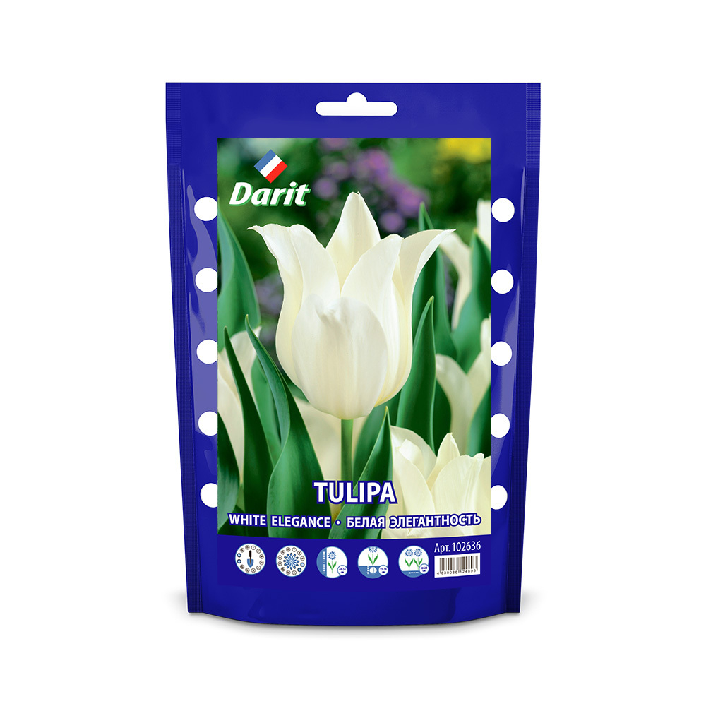 ЛУКОВИЦЫ ТЮЛЬПАН ЛИЛИЕВИДНЫЙ WHITE ELEGANCE 11/12, DARIT 7 Ш