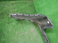 DSCN4238.JPG