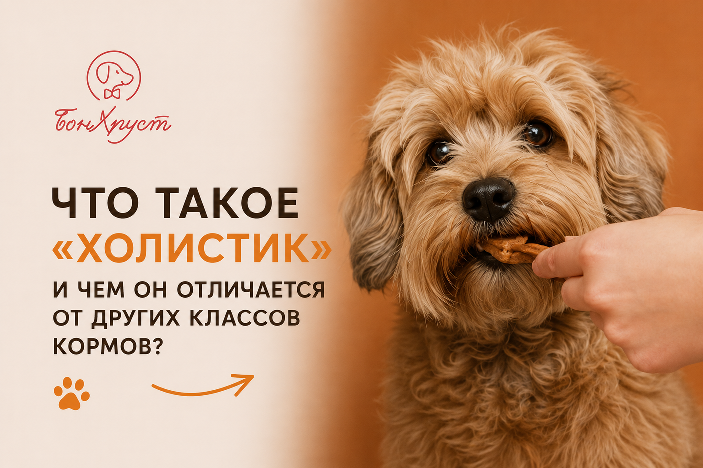 ЧТО ТАКОЕ КОРМ "ХОЛИСТИК"?