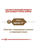 ROYAL CANIN AGEING 12+ (Роял Канин Эгейн) корм сухой для пожилых кошек 4 кг.