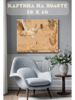 Картина на стену 40 X 50 Хищные птицы