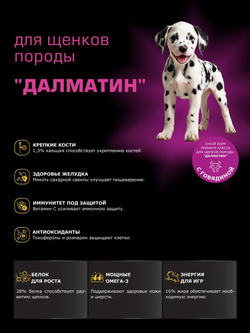 Корм сухой для щенков породы Далматин, с говядиной, 12 кг, QUATTRO