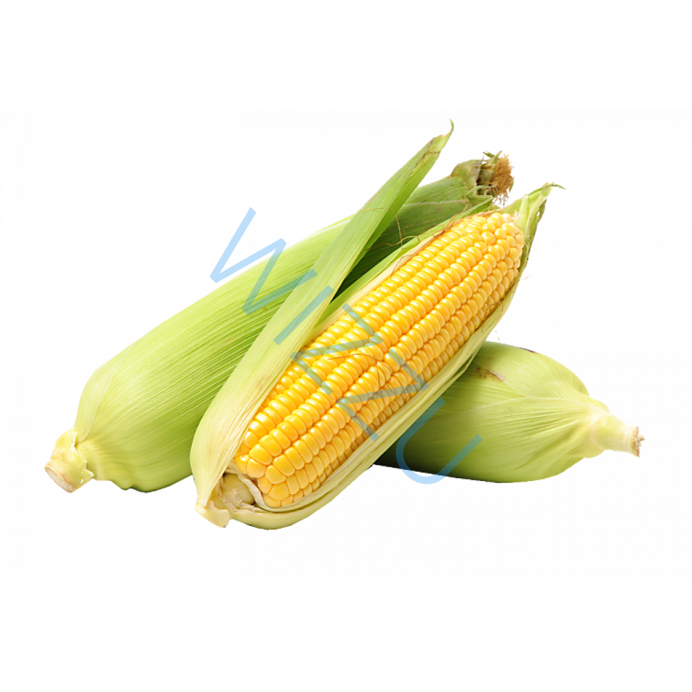 Кукуруза свежая вес