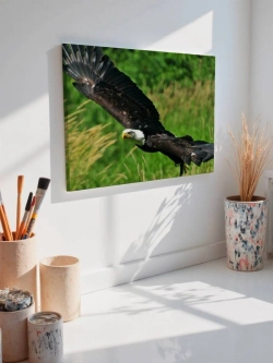 Картина на стену 40 X 50 Орел