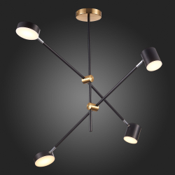 Светильник потолочный ST Luce Rodrigo SL1604.432.04