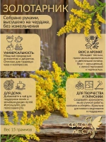 Золотарник цвет для красоты , здоровья и творчества
