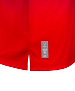 Футболка разминочная JOGEL NATIONAL PerFormDRY Pre-Match Tee, сине-красный