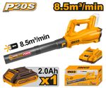 CABLI203235