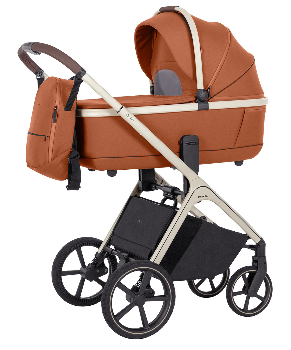 Коляска 2 в 1 Carrello Vector CRL-6550