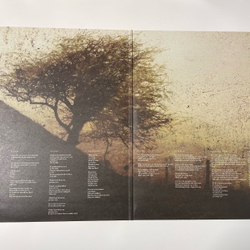 Винтажная виниловая пластинка LP Blackfield (Англия 2011)