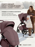 Коляска 3 в 1 Sweet Baby SBL Elegante Therma Colore + автокресло Elegante Plus Mokka