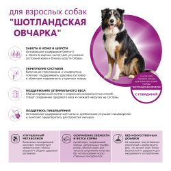 Корм сухой для взрослых собак породы Шотландская овчарка, премиум полнорационный комплекс, с говядиной, 12 кг, QUATTRO