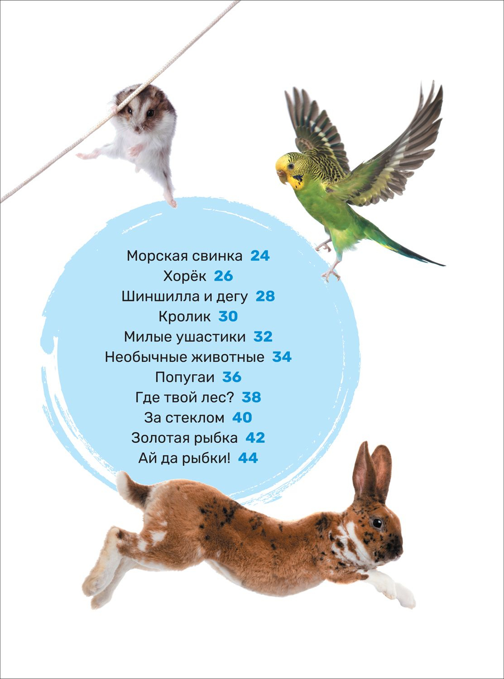Домашние питомцы. Первая энциклопедия малыша