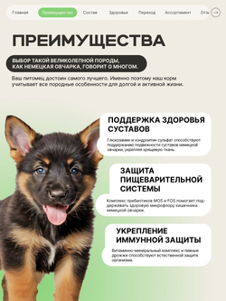 Корм сухой для щенков породы Немецкая овчарка, премиум полнорационный комплекс, с ягненком, 2,5 кг, QUATTRO