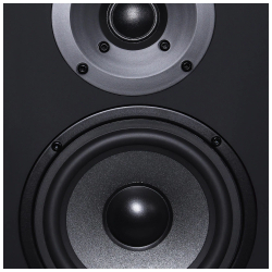 Полочная акустика Radiotehnika S-20N Walnut