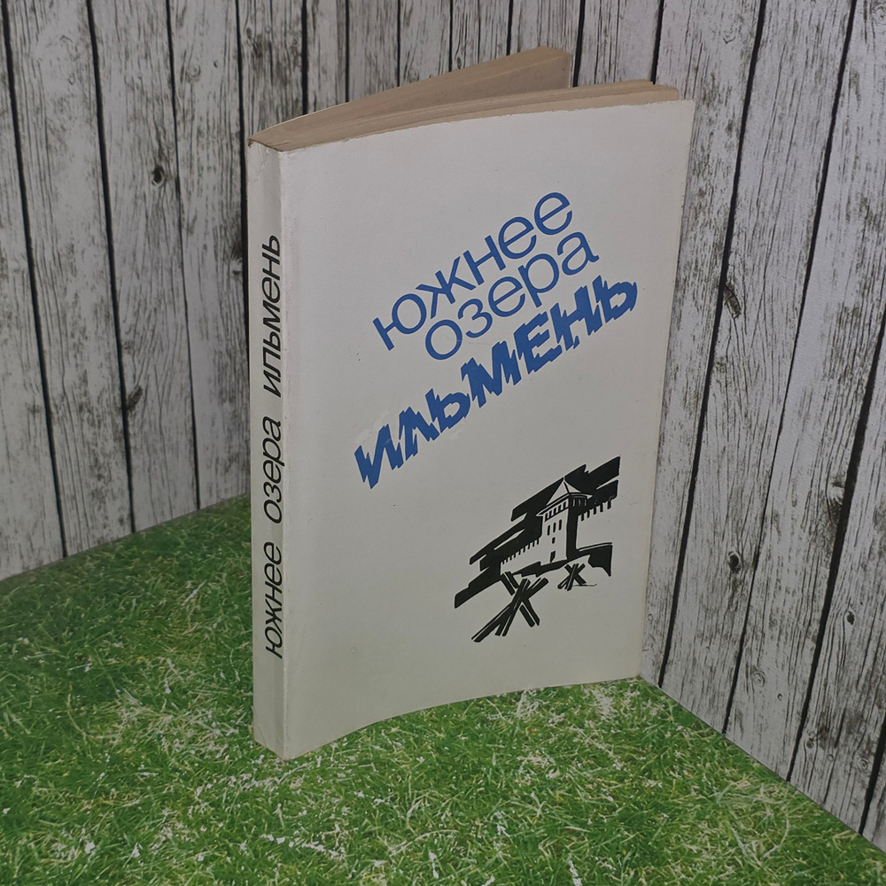 Книга "Южнее озера Ильмень"