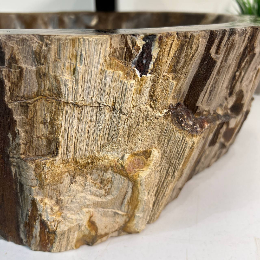 Раковина из окаменелого дерева OD-67023 48x42x15 из натурального камня