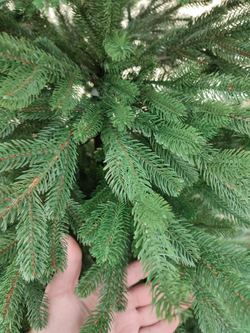 Литая искусственная ель Шервуд Премиум 180 см, Царь елка , Green Trees из Royal Forest, Triumf на MaxChristmas, литая ель из мелкой хвои, лапы по всей ветке