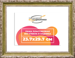 Рама 23,7x29,7 для картин и фотографий
