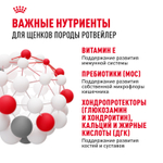 Royal Canin Rottweiller Puppy Ротвейлер Паппи Корм сухой для щенков породы Ротвейлер до 18 месяцев 12кг