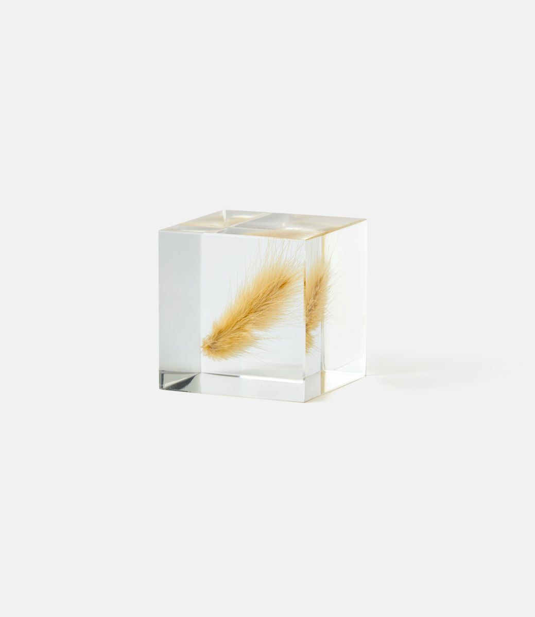 Sola Cube Bunny Tail Grass — куб из акриловой смолы