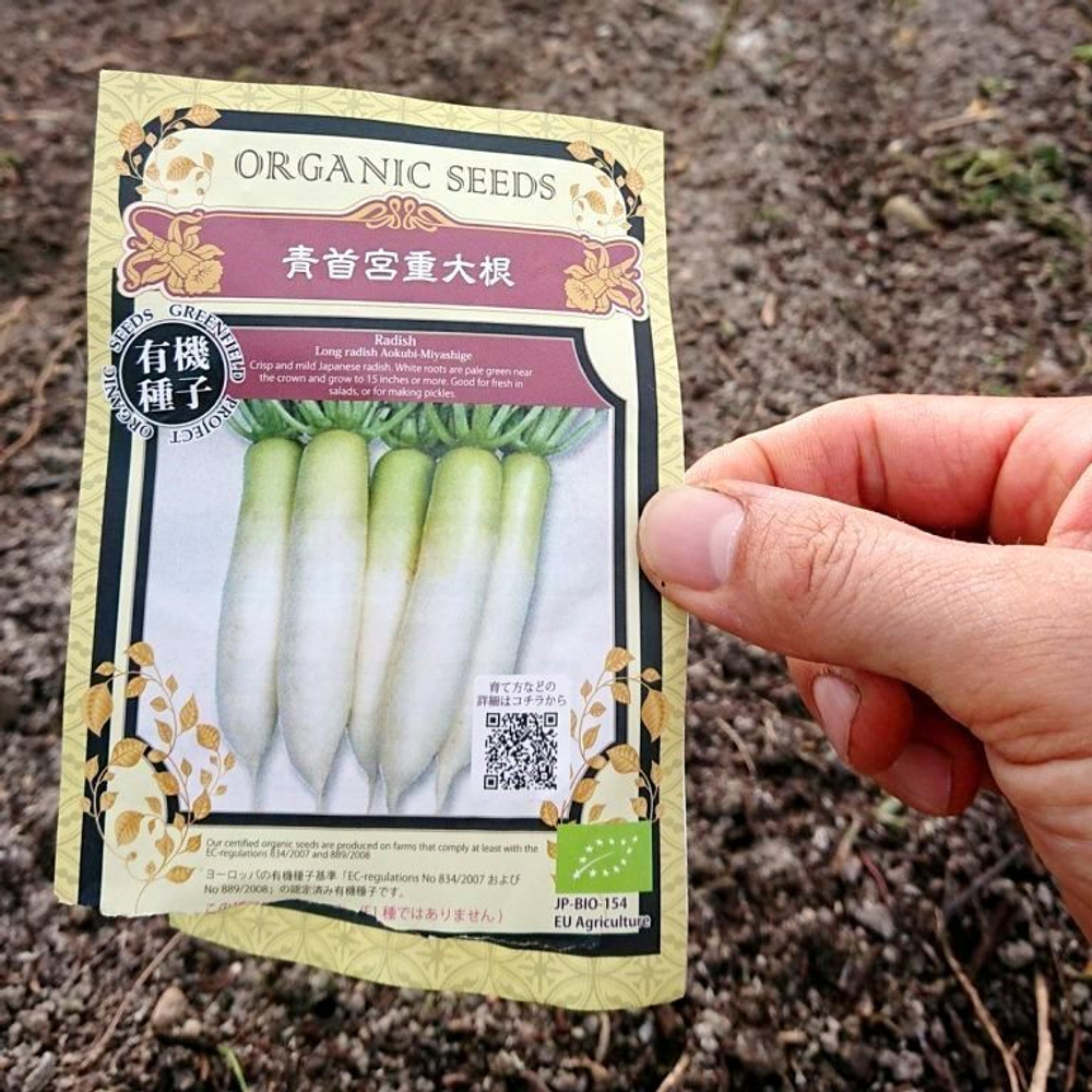 Аокуби Дайкон - Aokubi Daikon - 青首大根