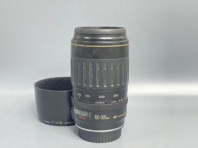 Canon EF 100-300mm USM Пылинки внутри