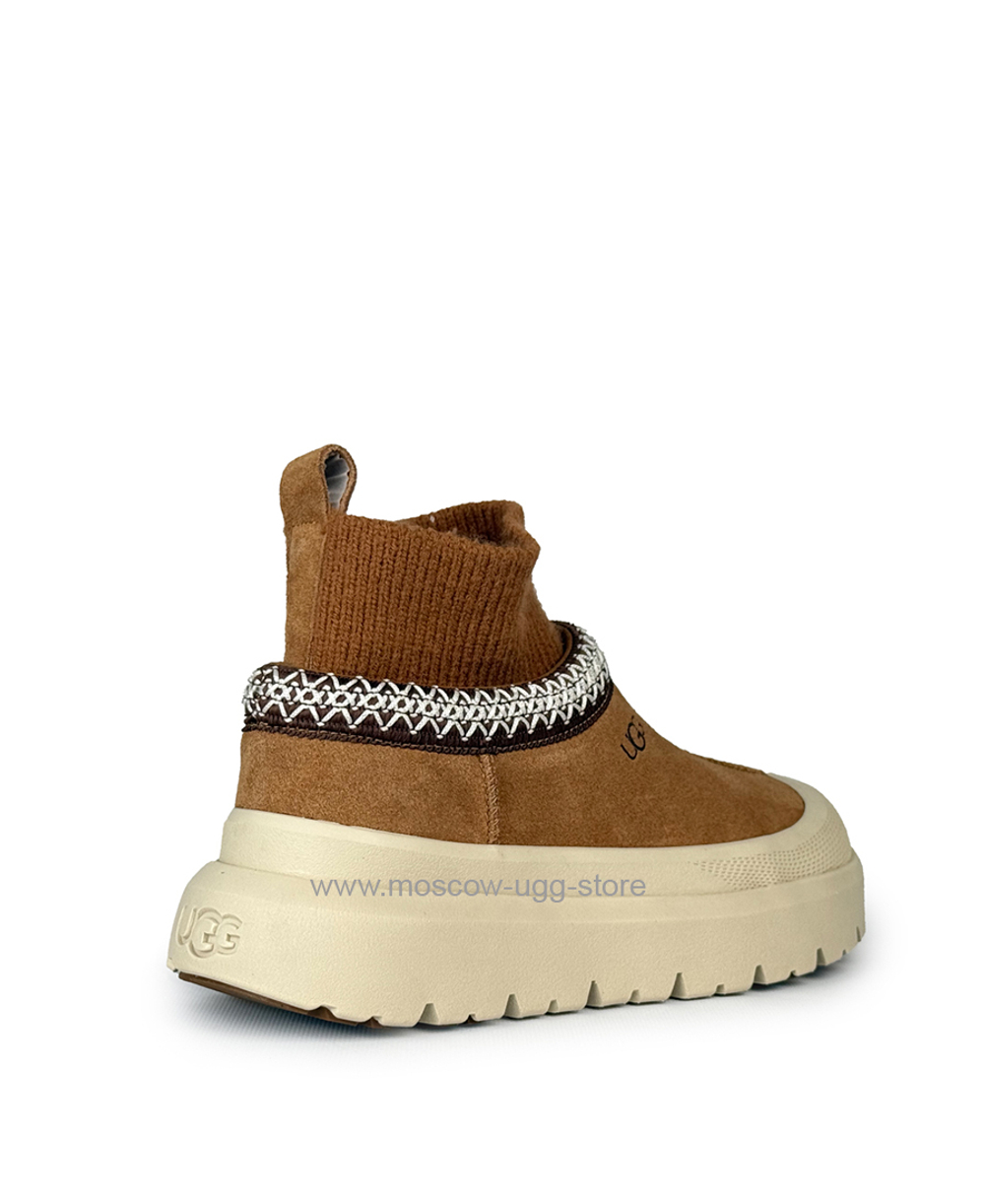 TAZZ KNIT HYBRID - Chestnut