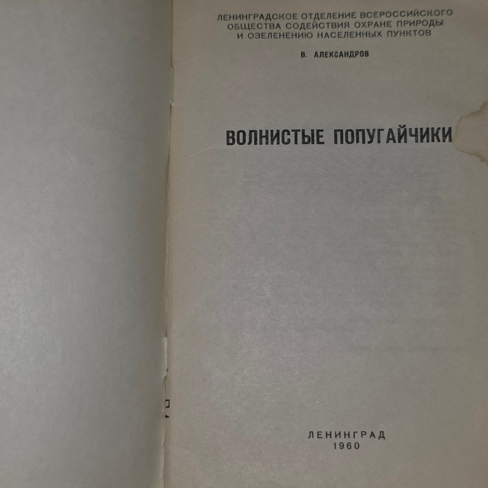 Книга "Волнистые попугайчики"