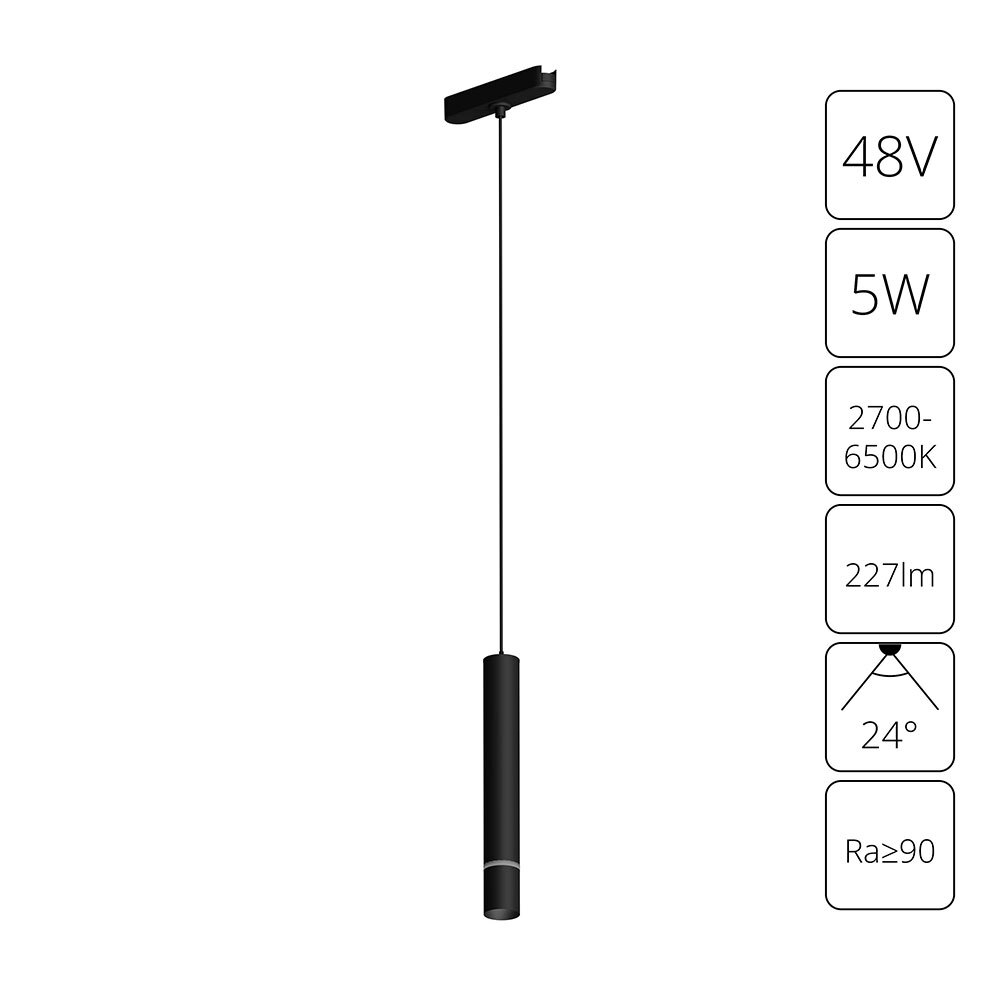 Магнитный трековый светильник Arte Lamp RAPID A2959PL-1BK