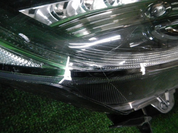 DSCN4190.JPG