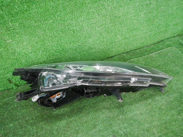 DSCN7081.JPG